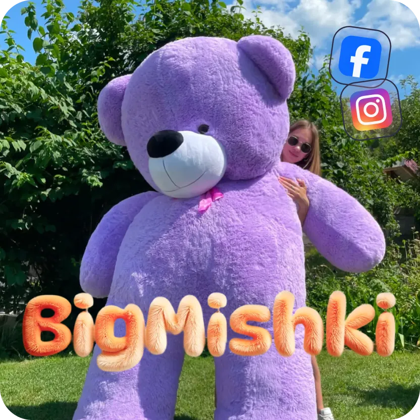 BIG MISHKI PL: тестовий вихід на ринок Польщі з ROAS 799%